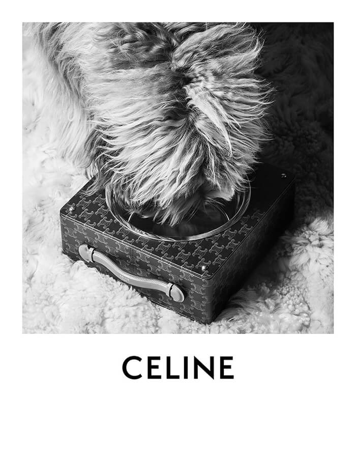 DOG Collection from CELINE