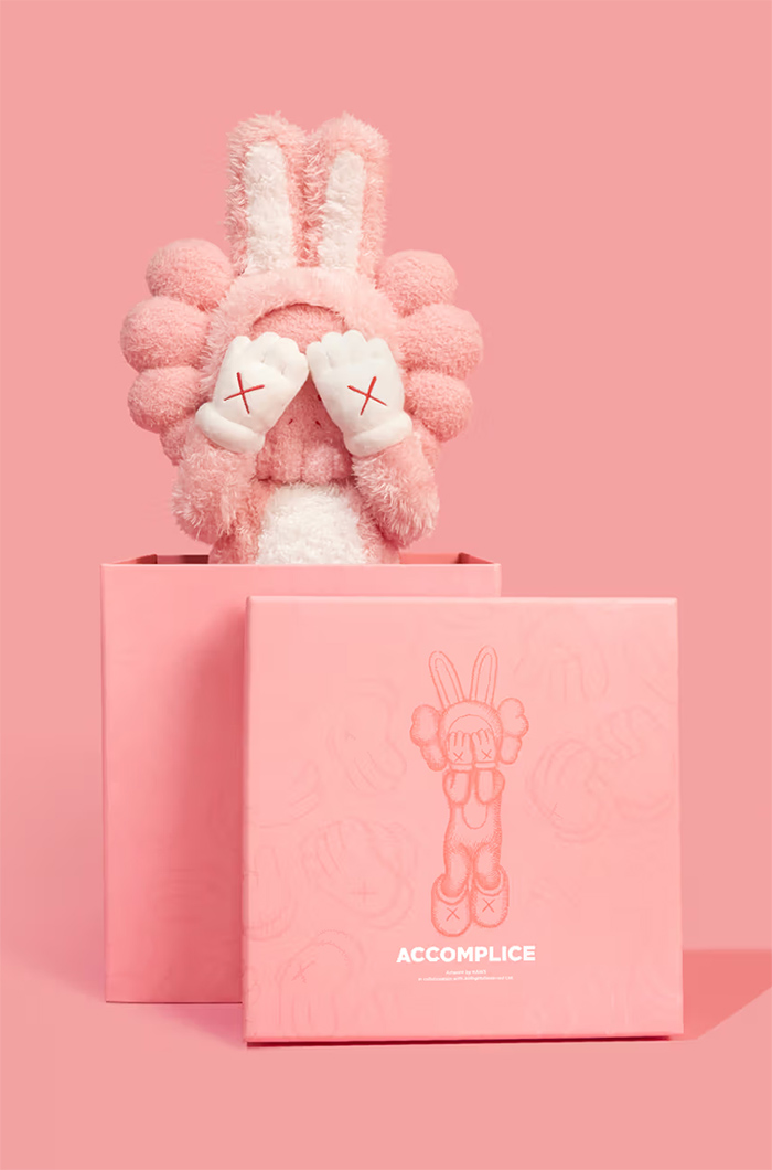 KAWS x AllRightsReserved ACCOMPLICE