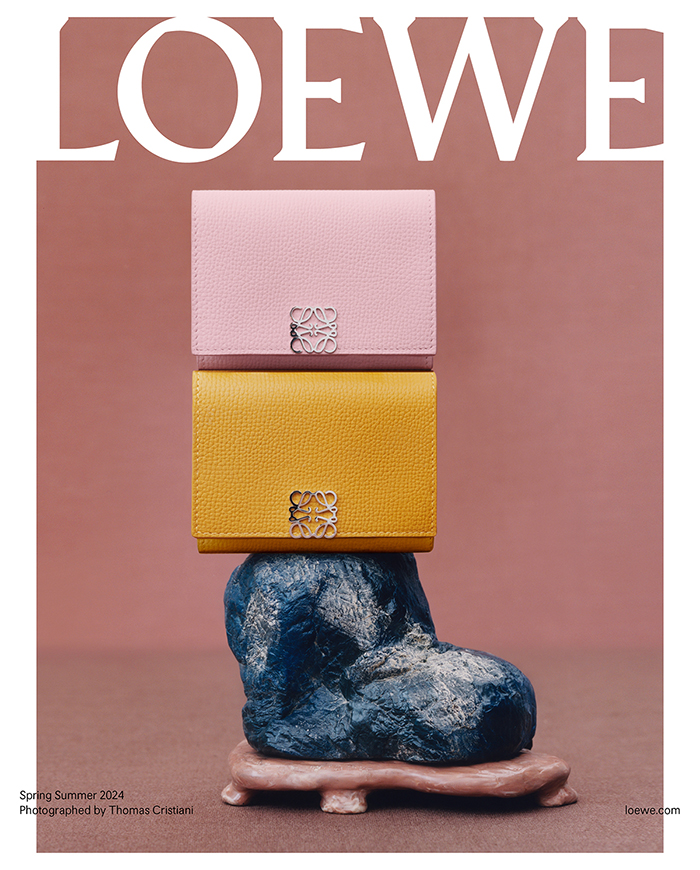LOEWE 2024 Spring Summer Leather Goods Collection
