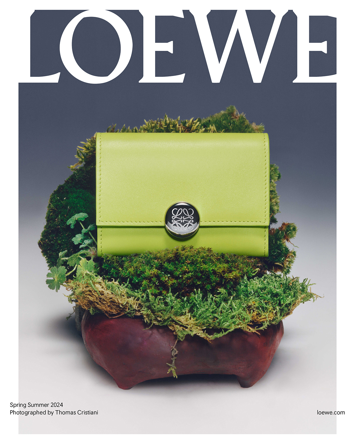 LOEWE 2024 Spring Summer Leather Goods Collection