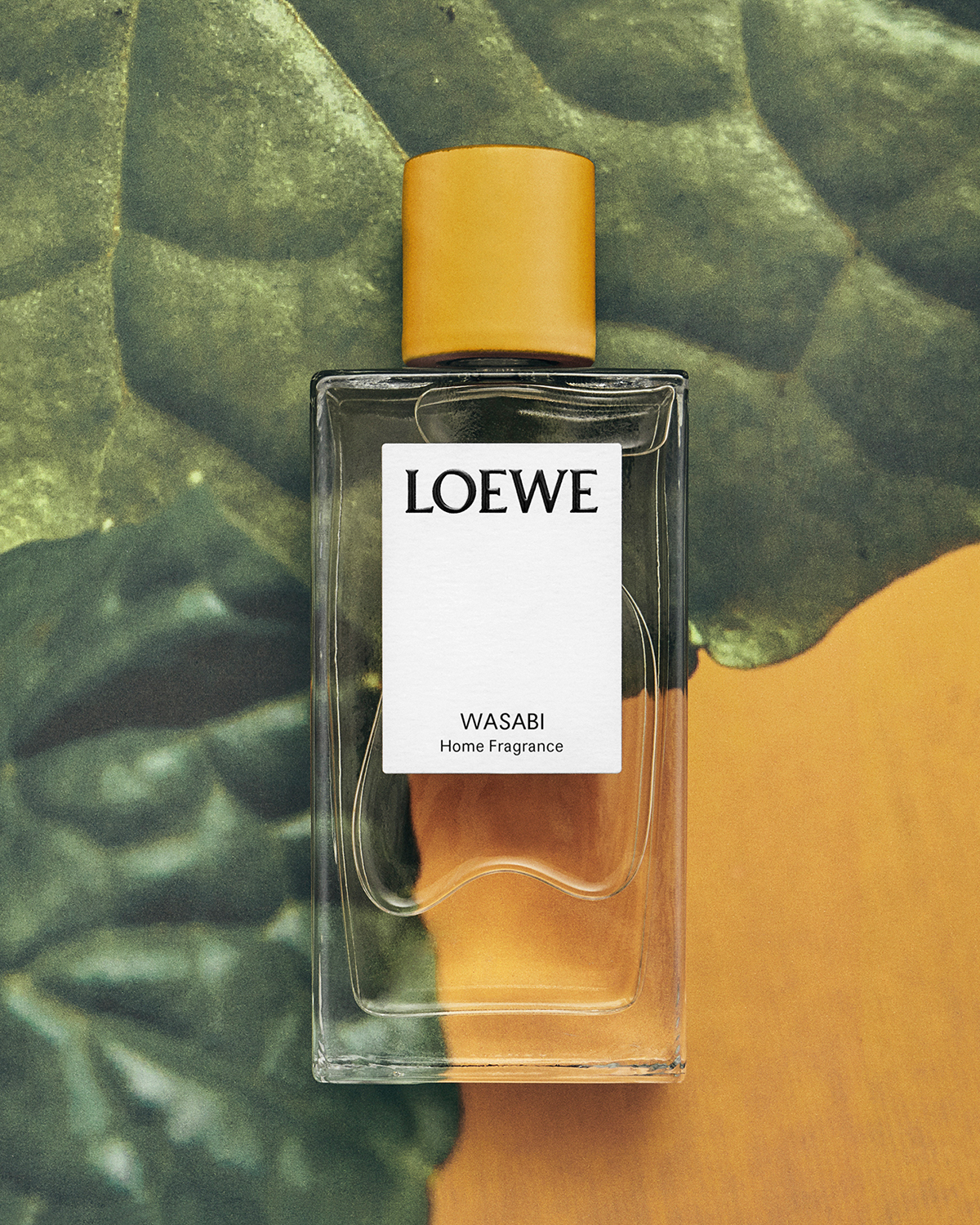 LOEWE Perfumes WASABI