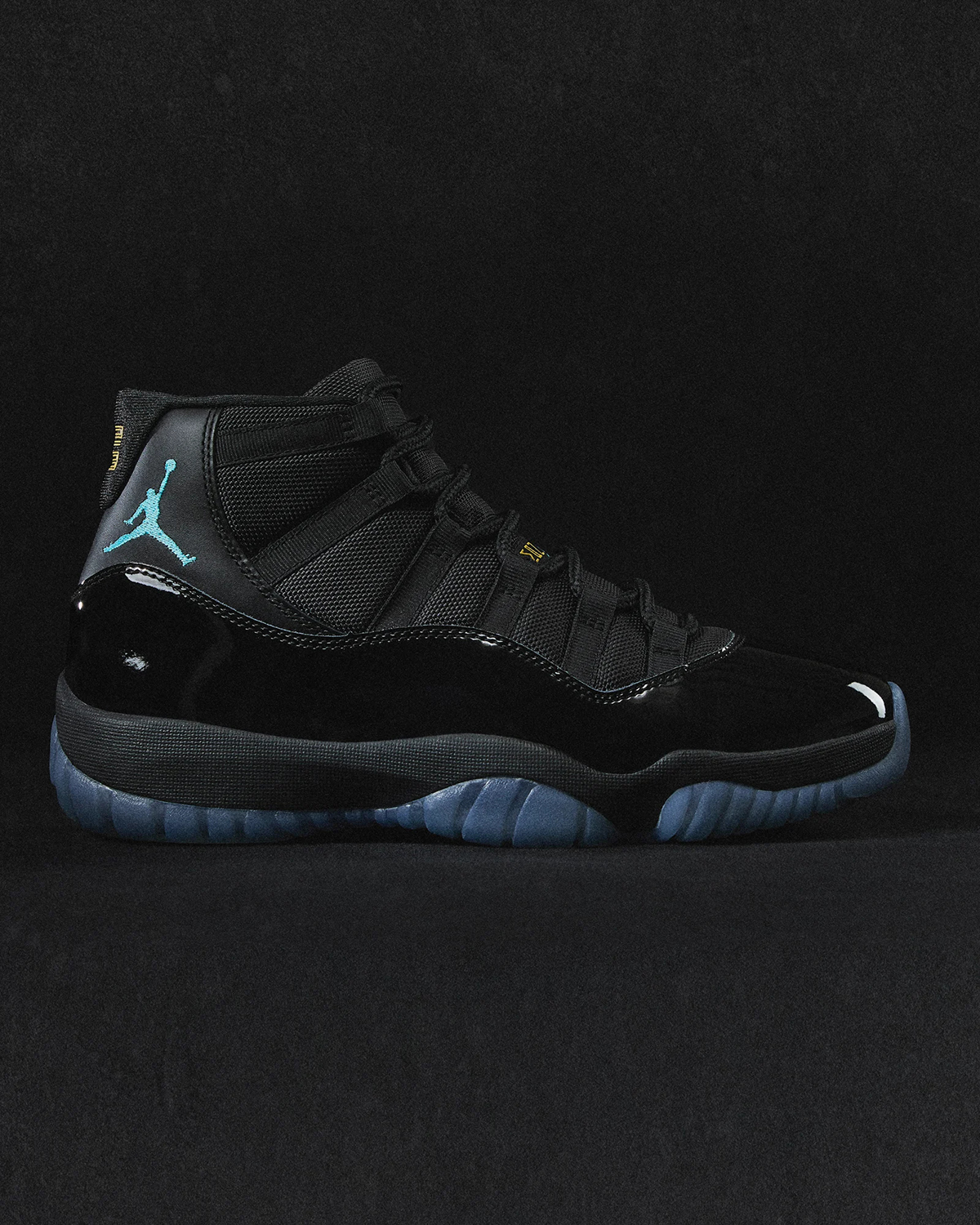 Nike Air Jordan 11 30th Anniversary Model
