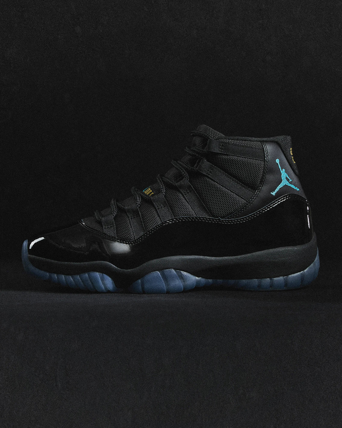 Nike Air Jordan 11 30th Anniversary Model