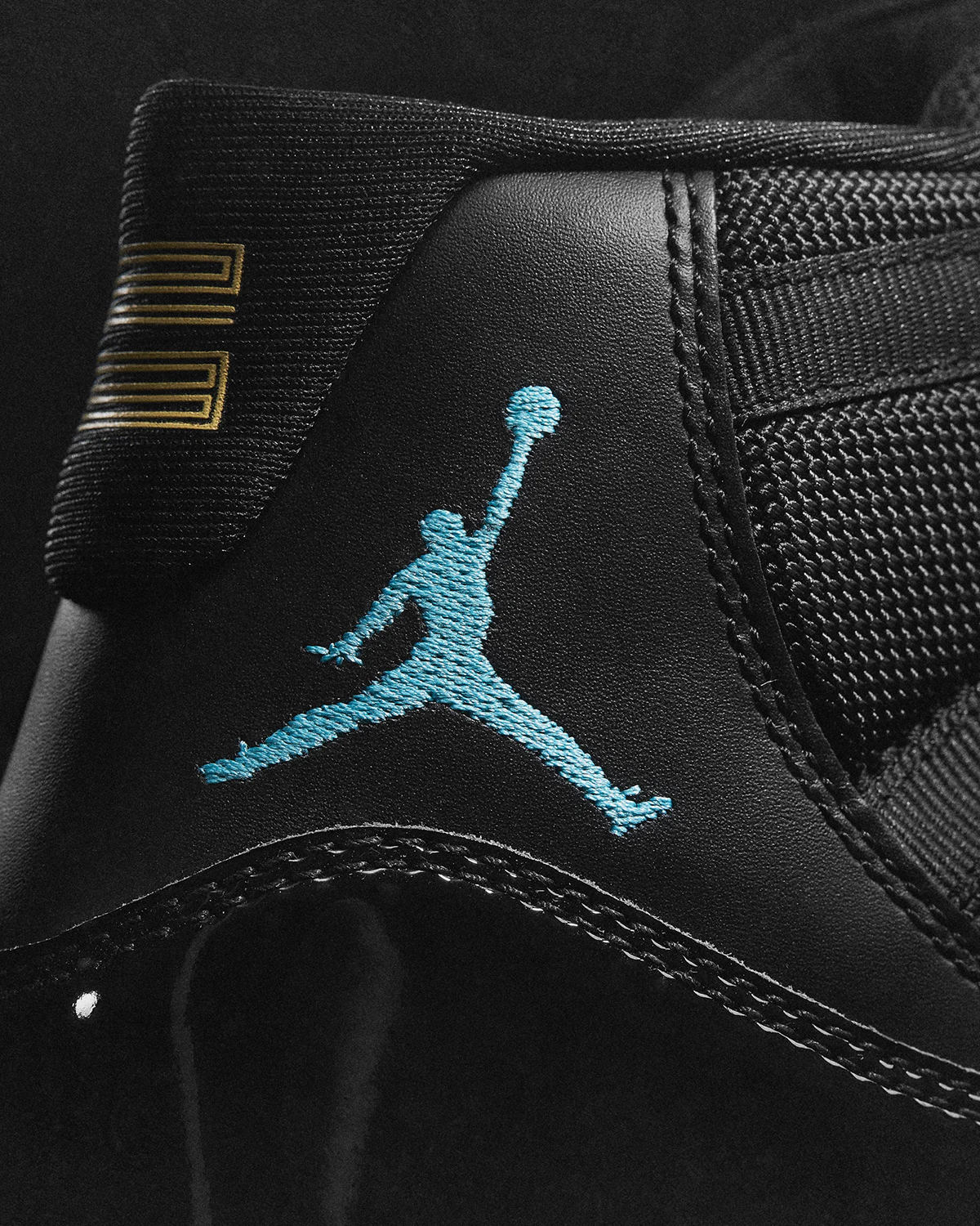 Nike Air Jordan 11 30th Anniversary Model