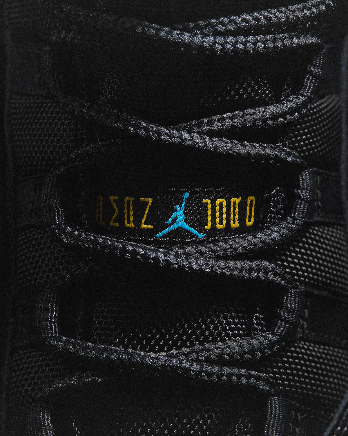 Nike Air Jordan 11 30th Anniversary Model