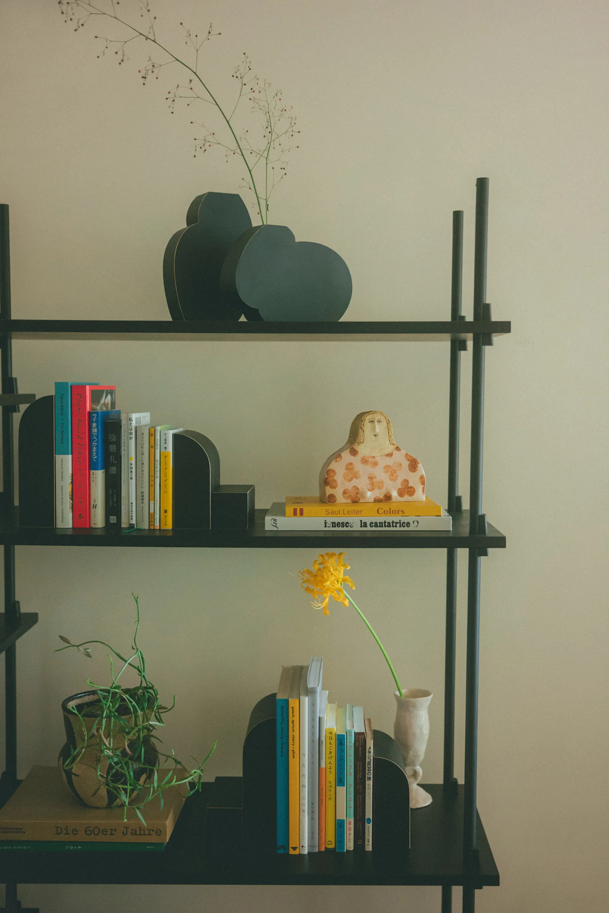 沐読 オープン 世田谷区羽根木