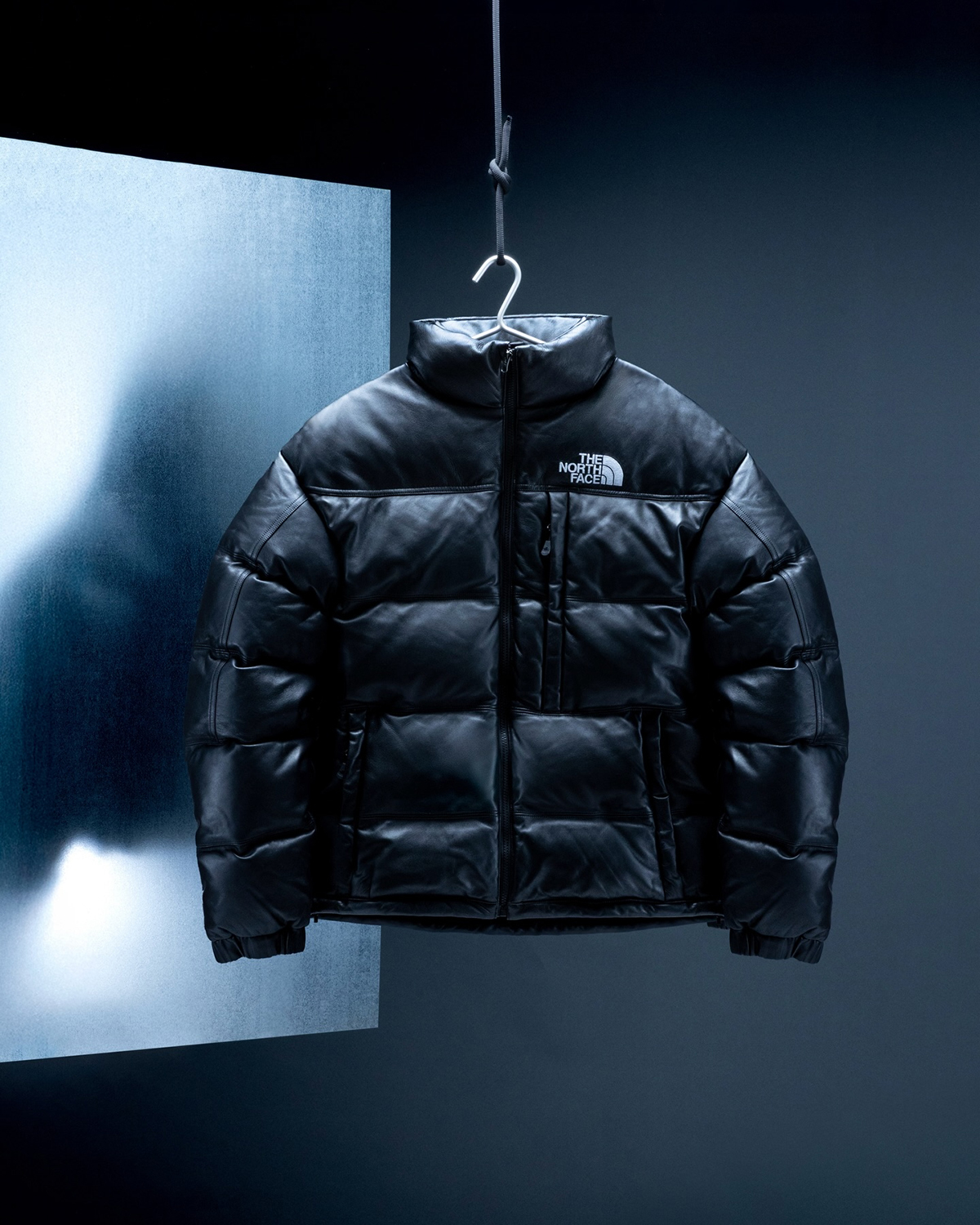THE NORTH FACE Leather Pack Collection