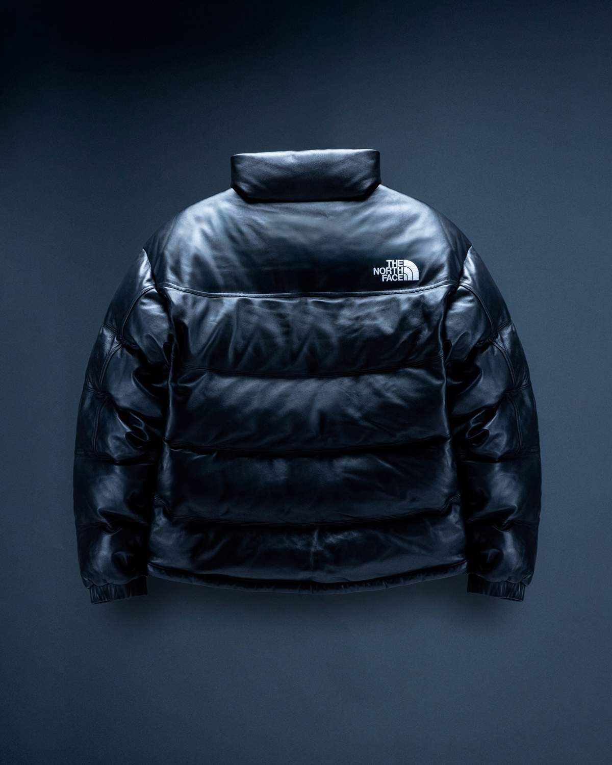 THE NORTH FACE Leather Pack Collection