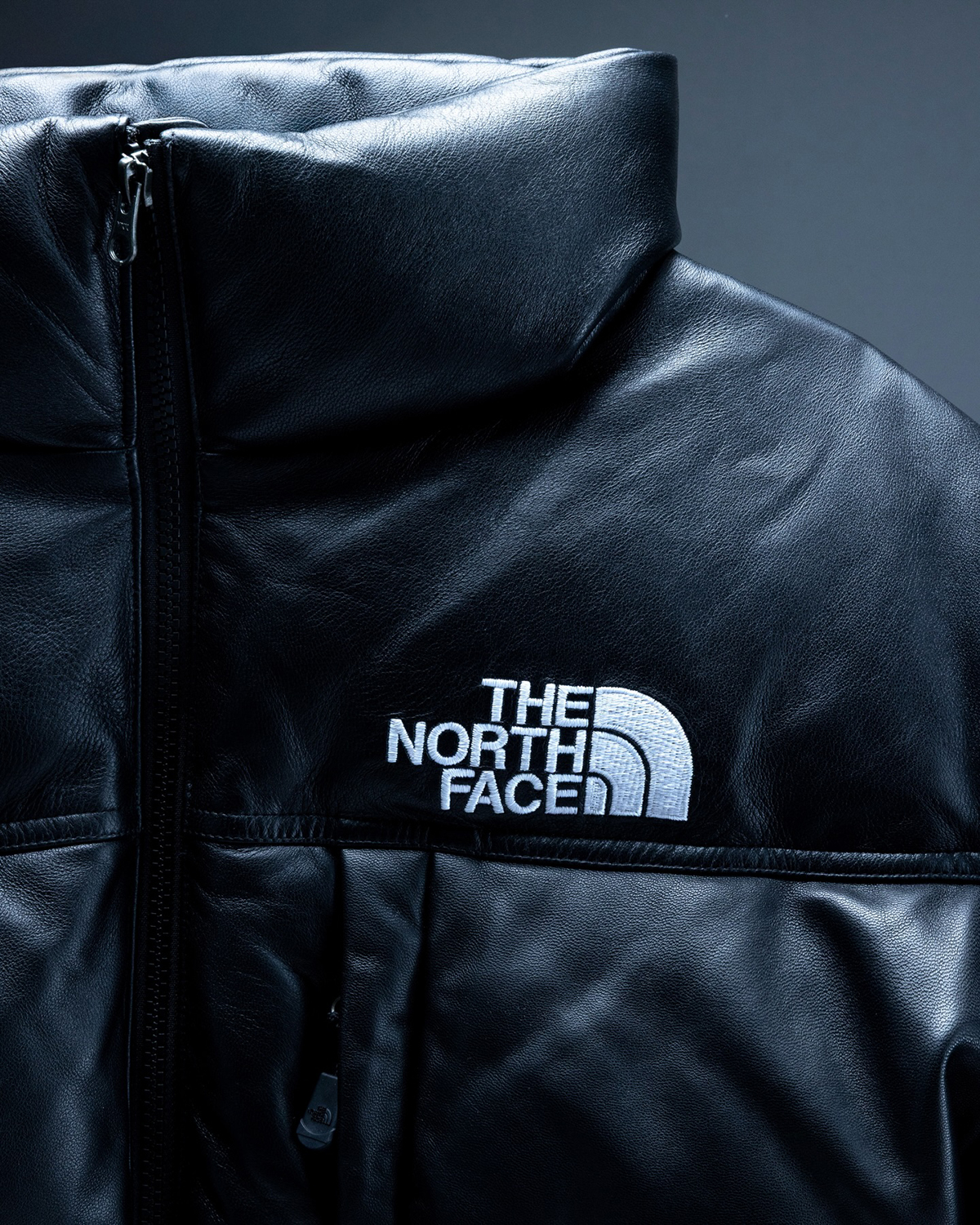 THE NORTH FACE Leather Pack Collection
