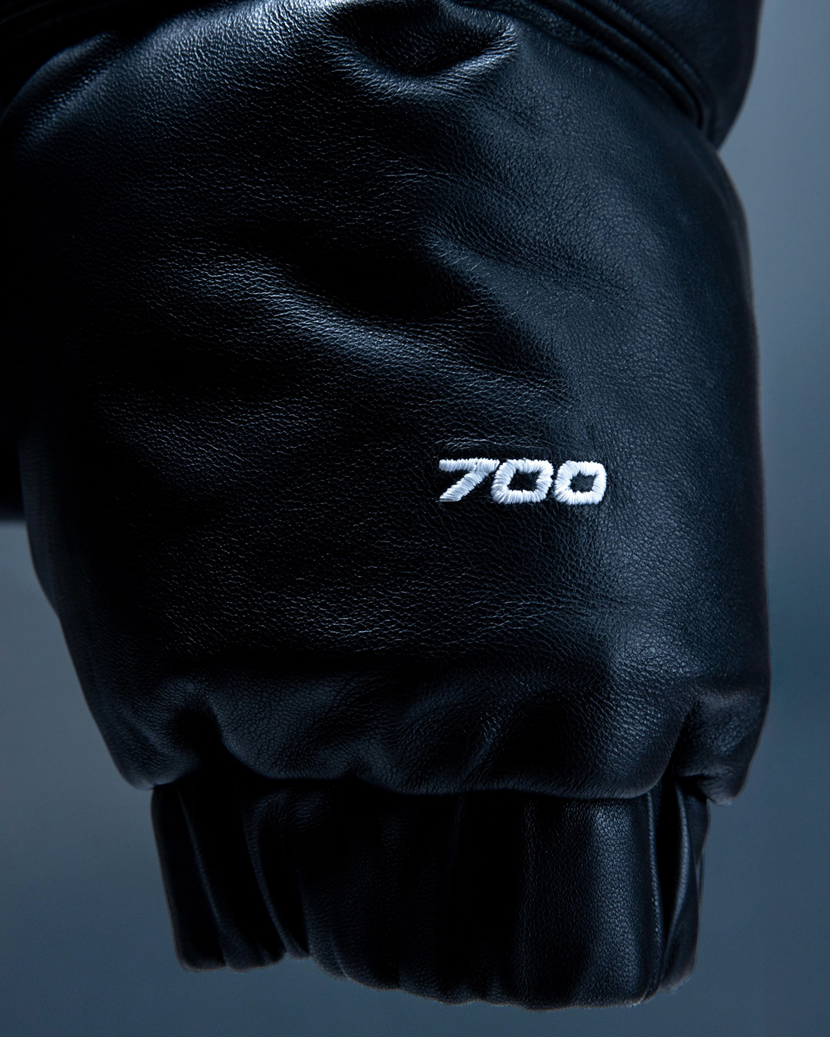 THE NORTH FACE Leather Pack Collection