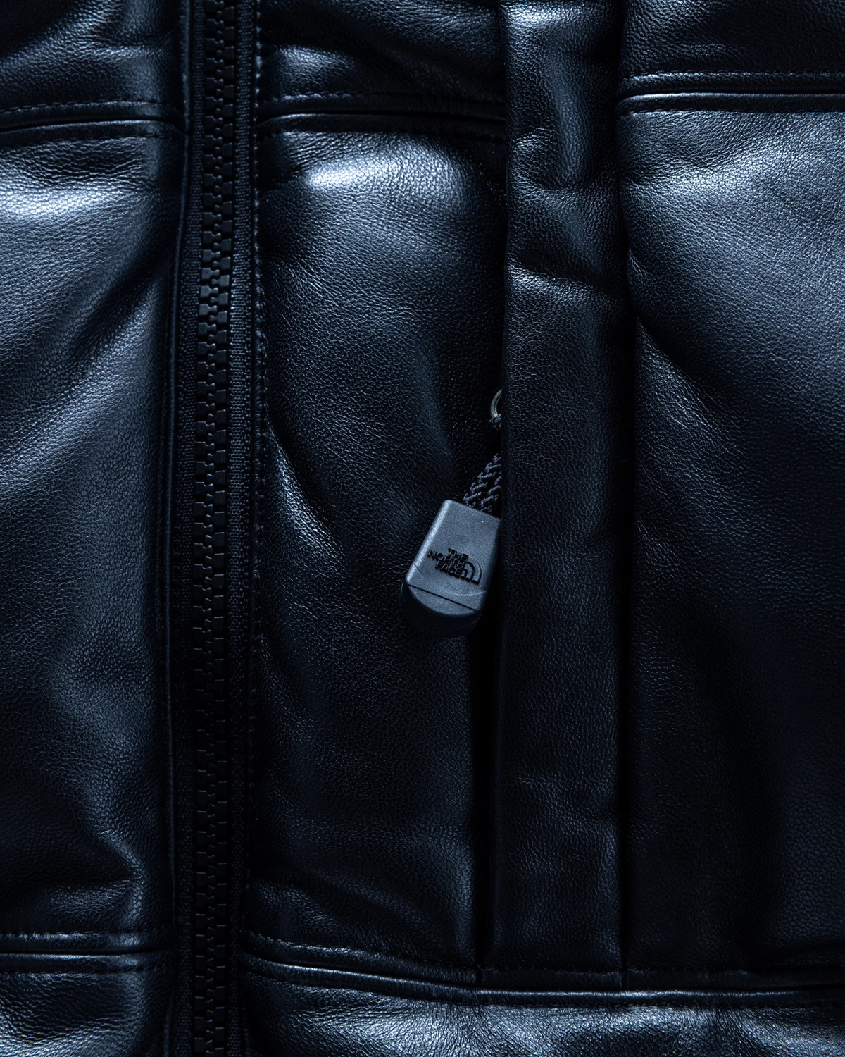 THE NORTH FACE Leather Pack Collection