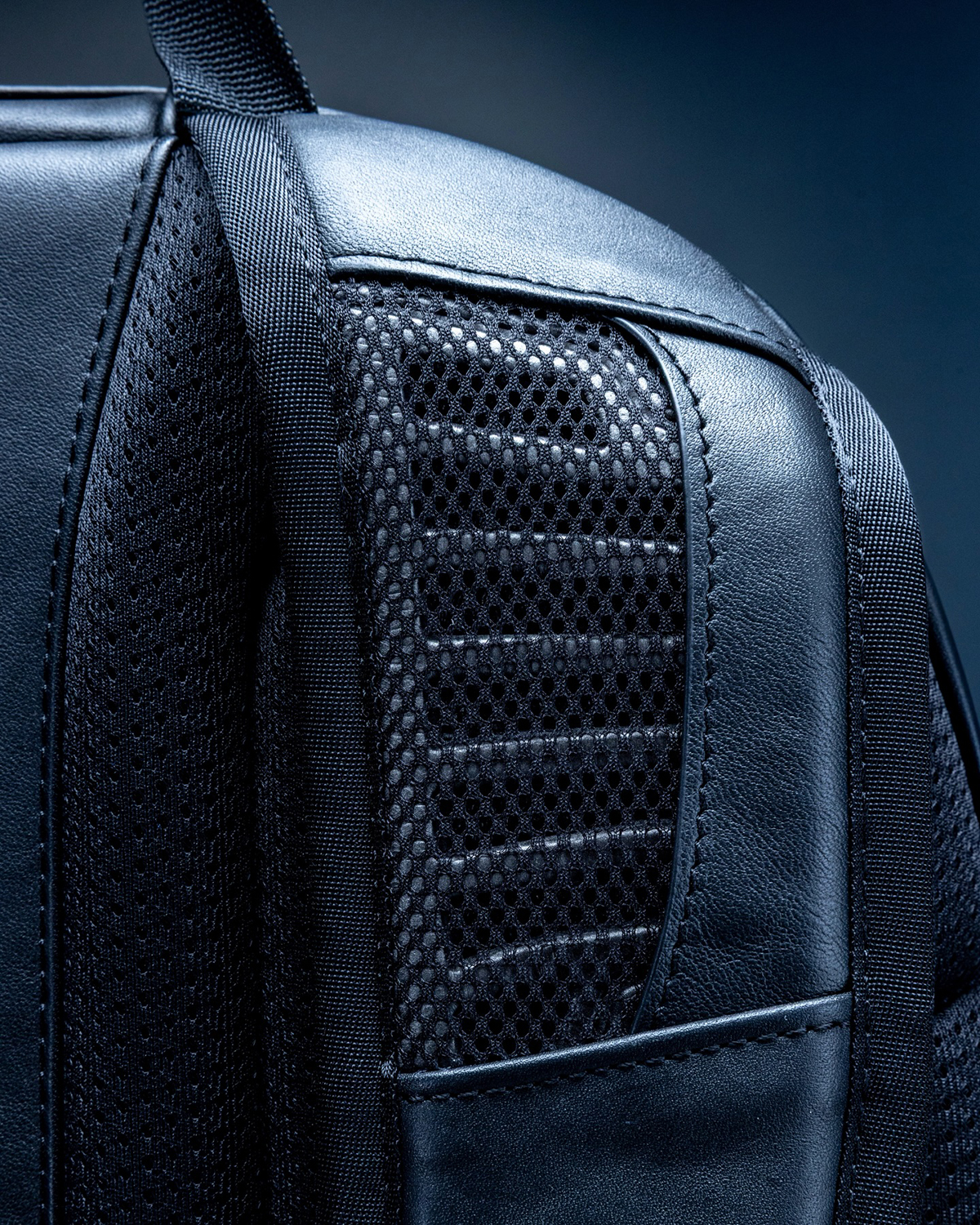 THE NORTH FACE Leather Pack Collection