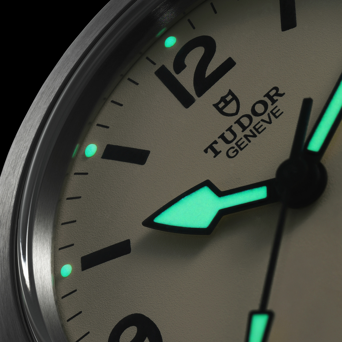 TUDOR RANGER 2025 New Model