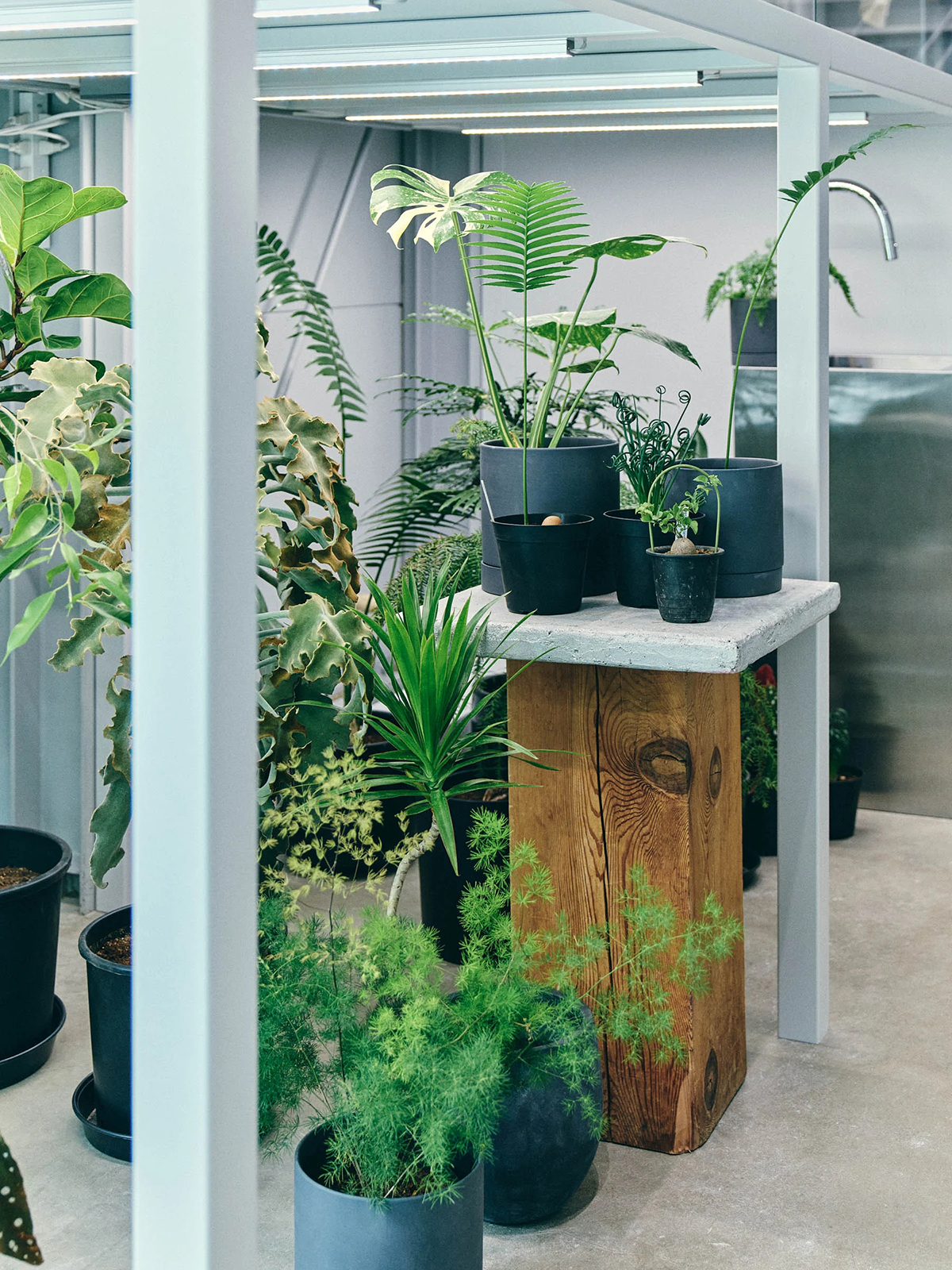 Graphpaper conservatory Open