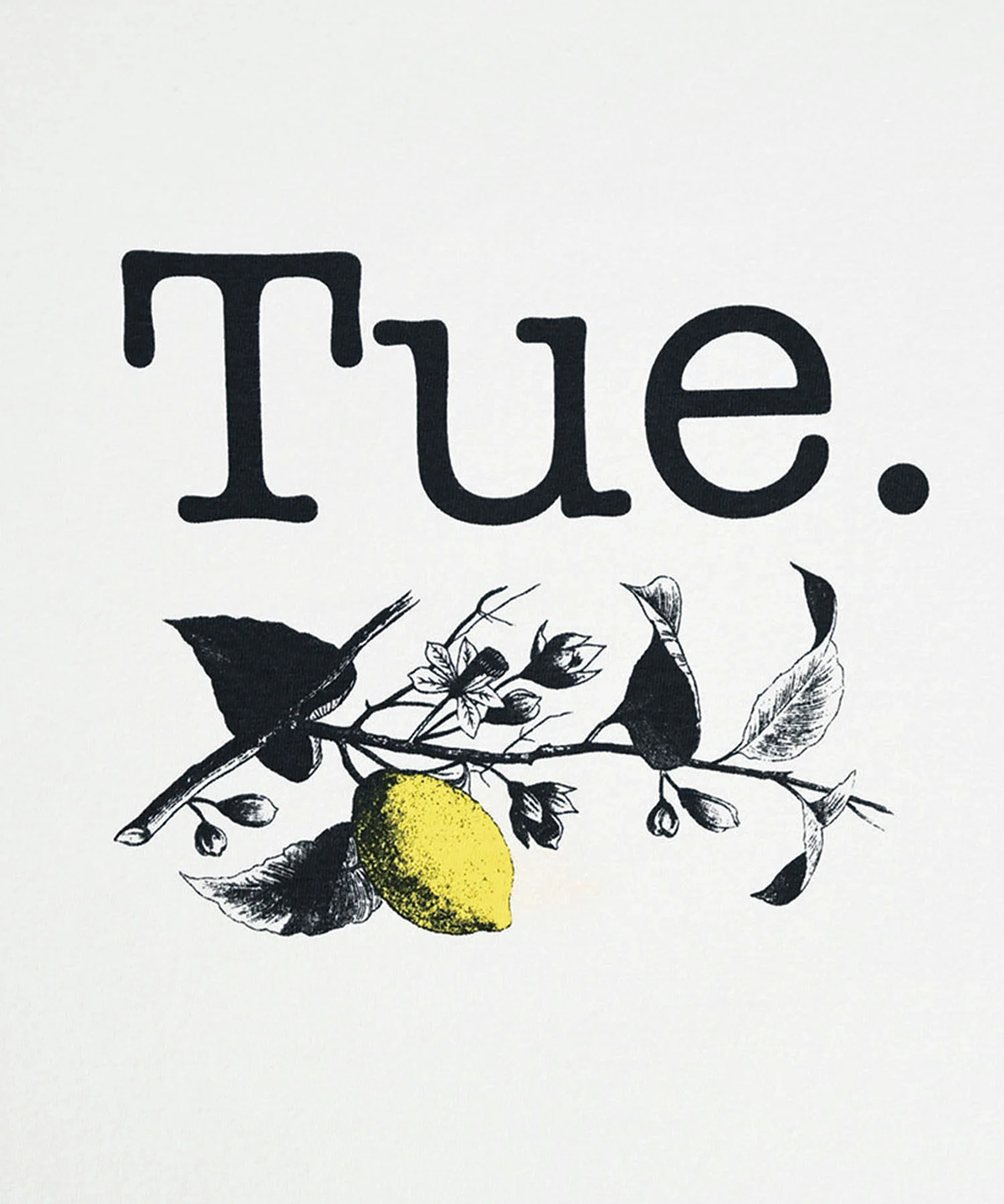FRUIT OF THE LOOM x TODAY edition One Week PACK Tee