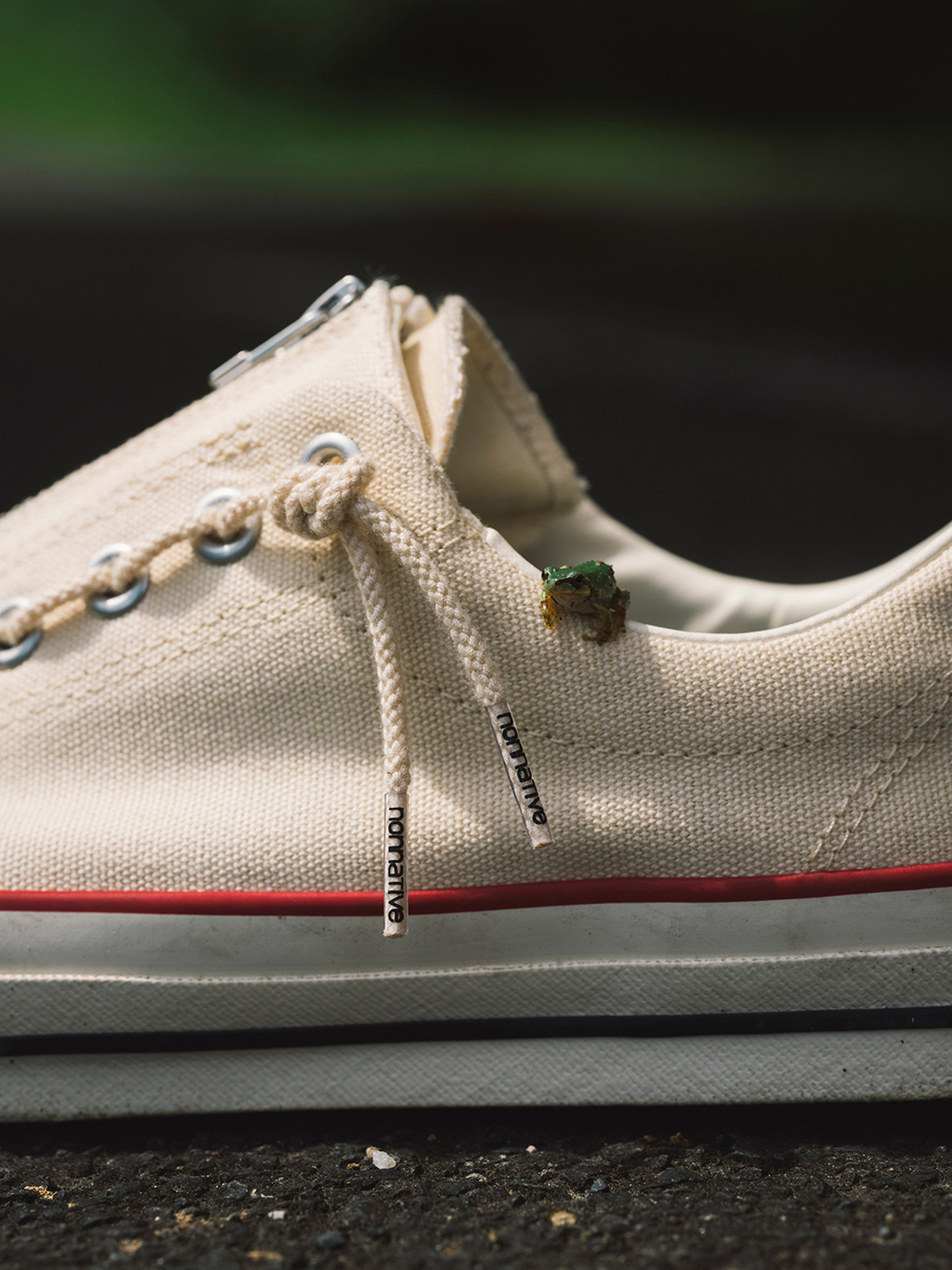 nonnative x CONVERSE ALL STAR GORE-TEX® CENTERZIP OX NN